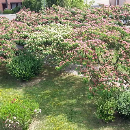 Il Cielo In Una Stanza Bed & Breakfast Bologna